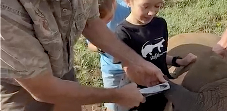 Screenshot 2025 12 17 at 08 23 42