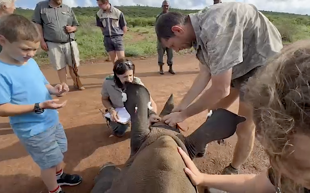 Screenshot 2025 12 17 at 08 22 31