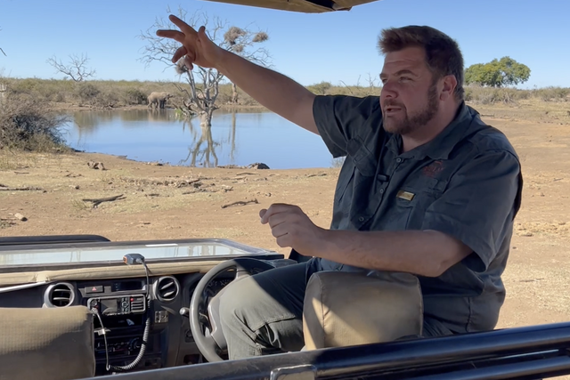Life of a ranger: Juvenile black-headed heron