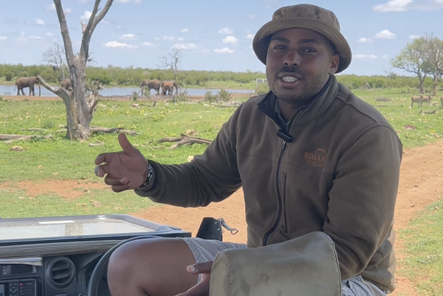 Life of a Ranger: Hyenas eating the bones