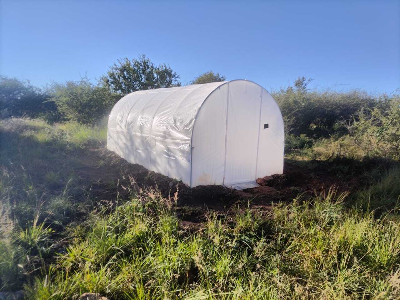 PHOTO 2026 05 11 13 29 32 4
