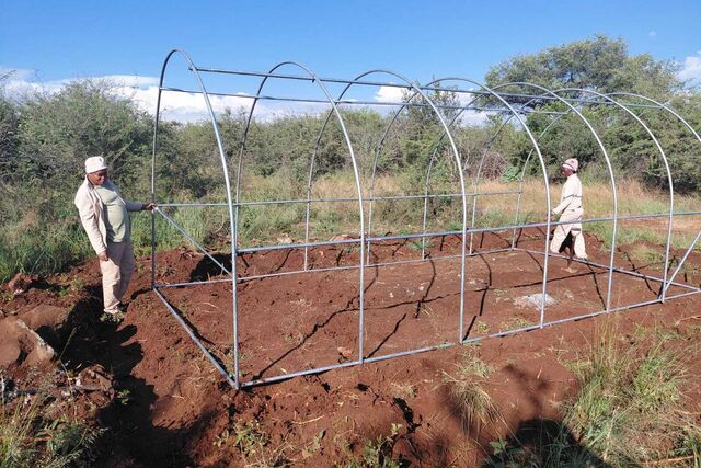 Growing sustainability at Rhulani Safari Lodge