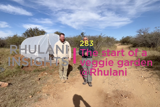 Rhulani Insights 283 – The start of a veggie garden @Rhulani