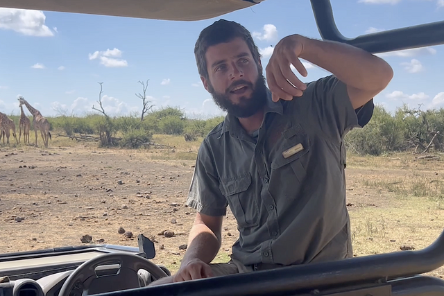 Life of a Ranger: Hornbills aligning feathers