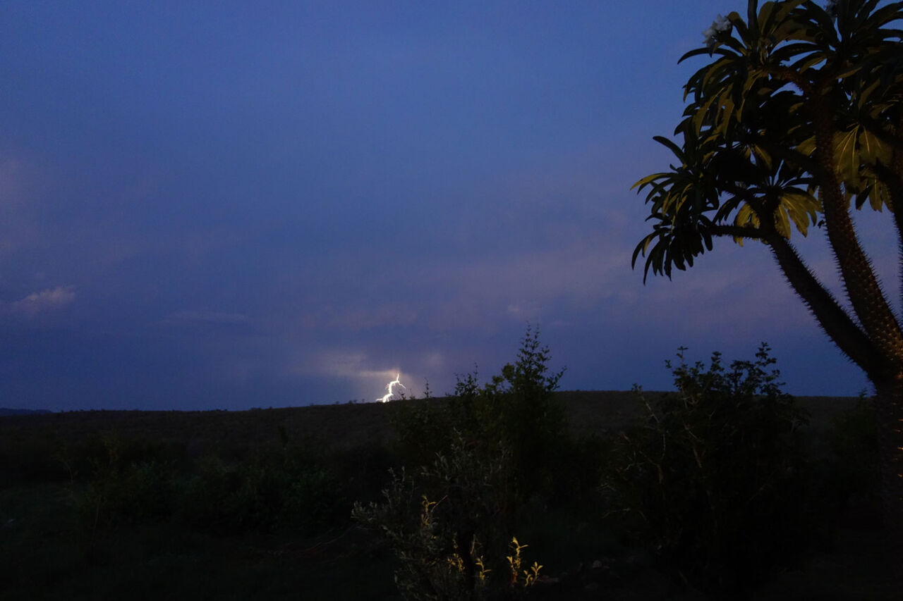 03012 Lightning Bolt Evening