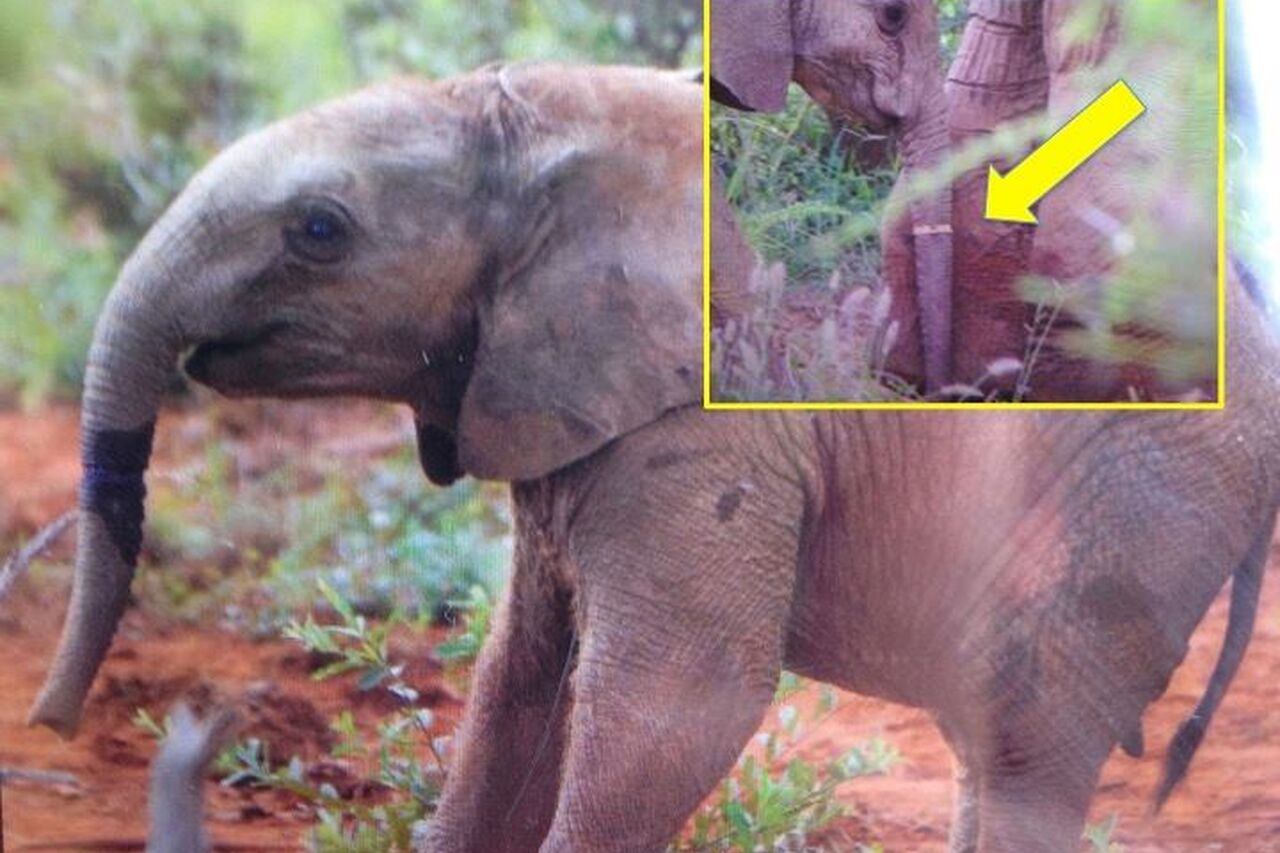 12938331 845052875640495 1300614251531547285 n