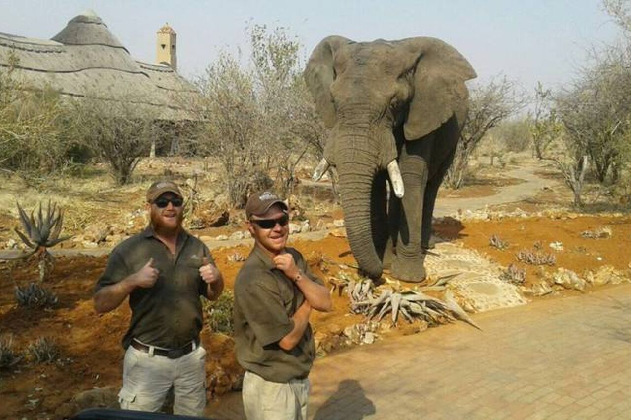 14333814 939054562906992 7571016971005613010 n 750 450 70 s