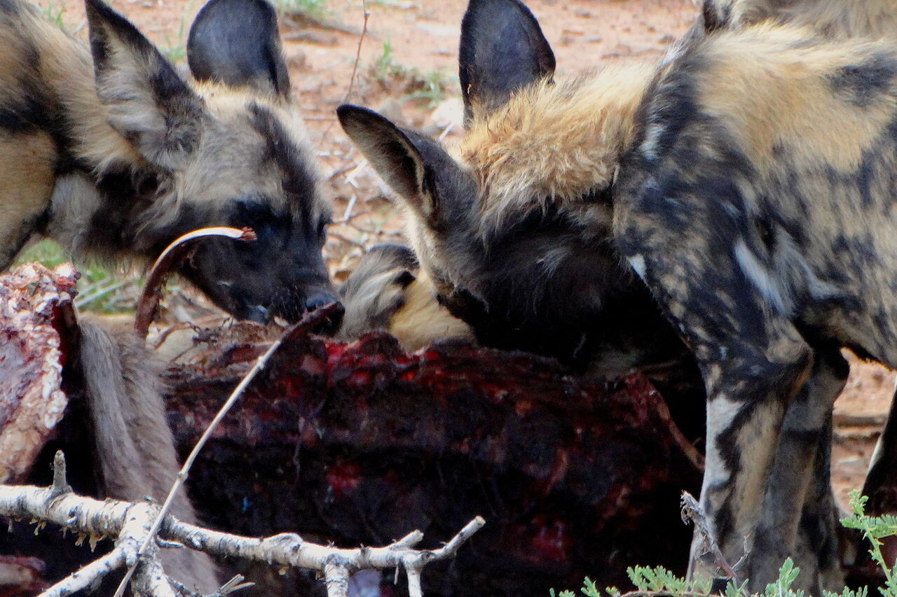 2016 01 30 13 16 24 1