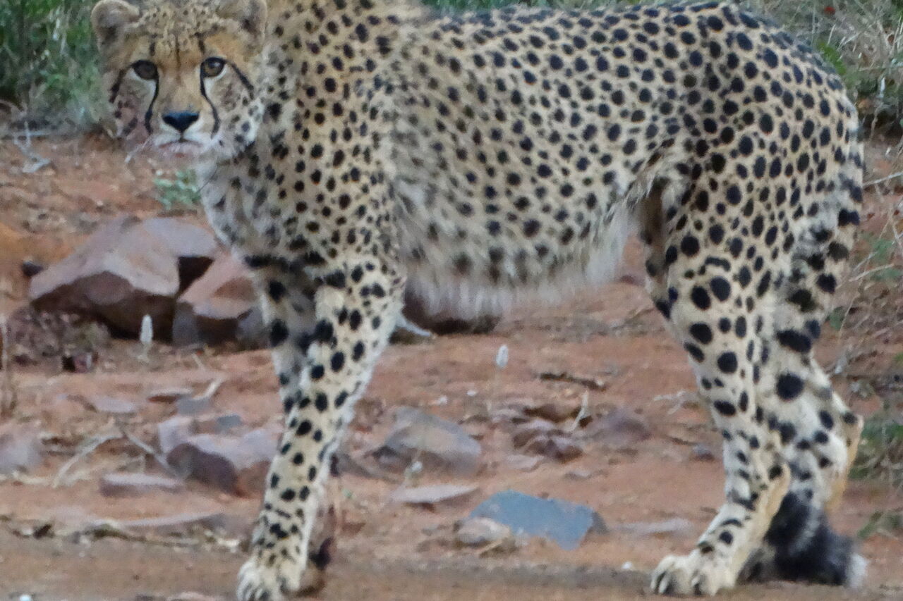 2016 05 13 13 14 39 1