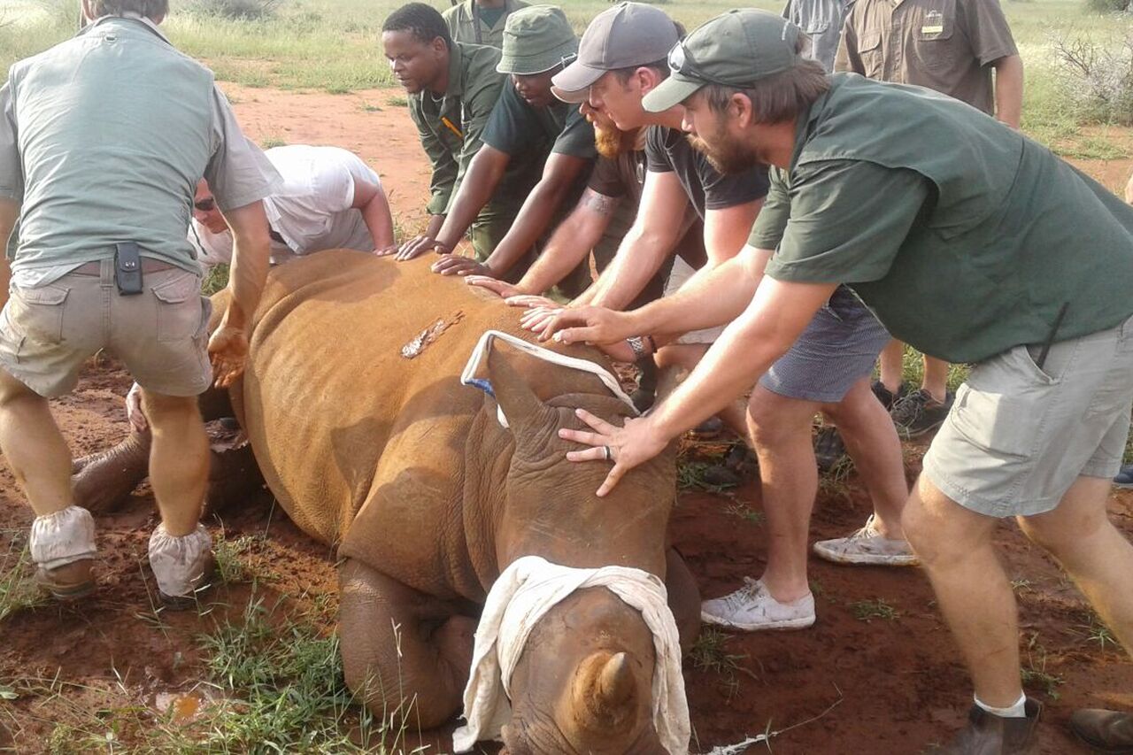 2018 04 12 06 24 06 1