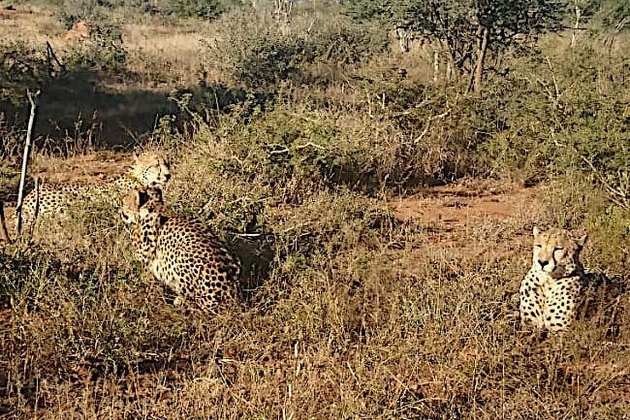 2018 06 08 11 32 10 3