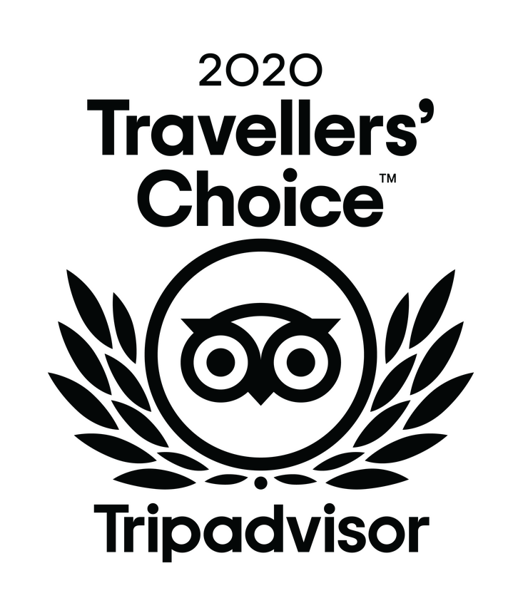 2020 Travellers Choice logo