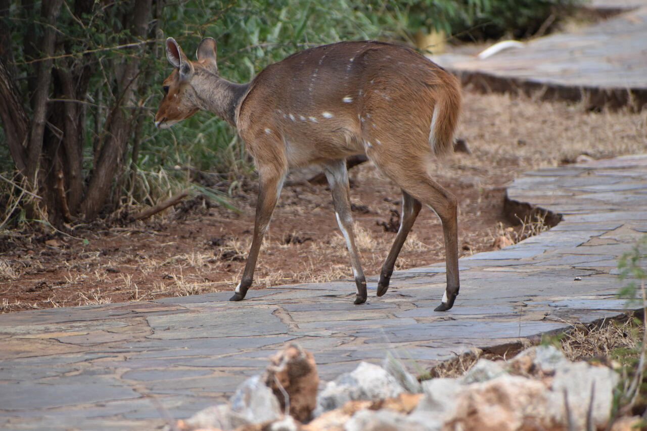 2022 02 20 15 46 46 p