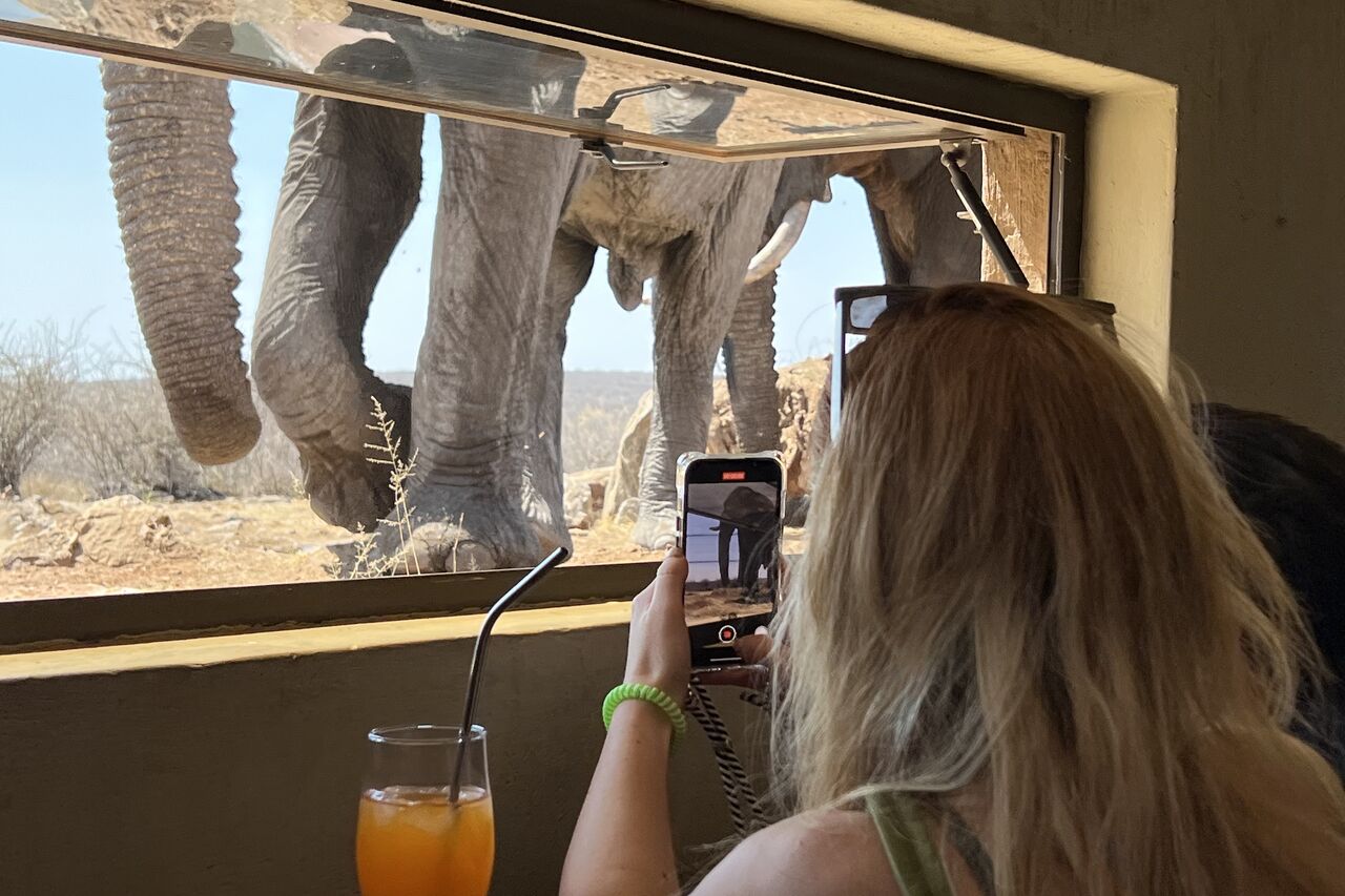 2022 09 17 12 39 47 p