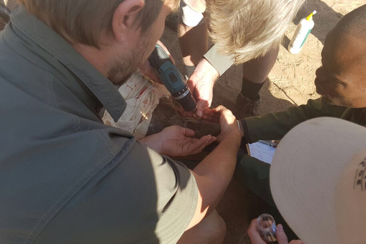 Foto 03 06 17 17 20 51