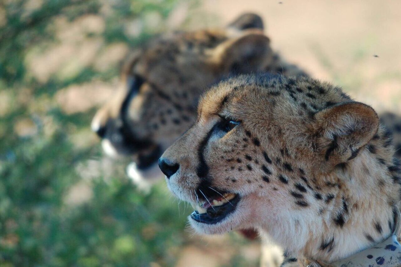 Foto 20 12 17 09 04 20