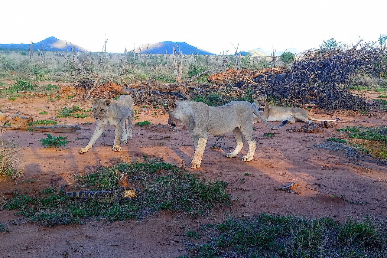 IMG 20221109 172213 678