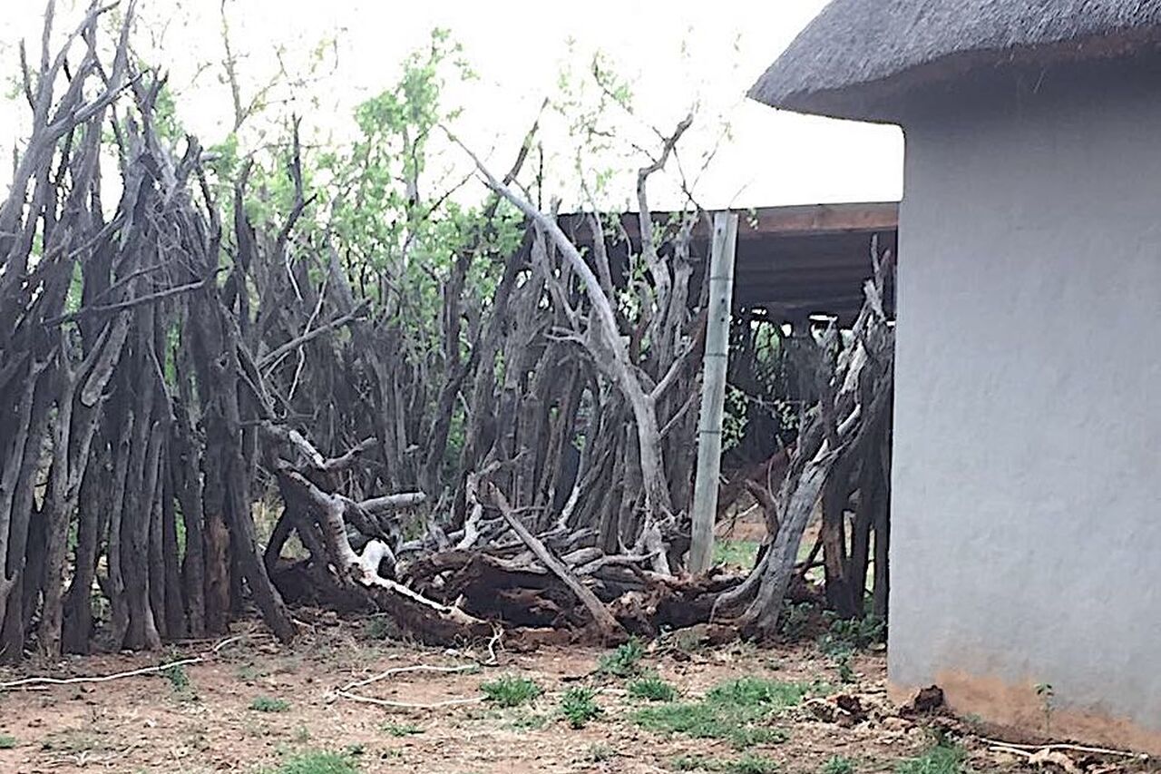 PHOTO 2016 11 03 07 19 13