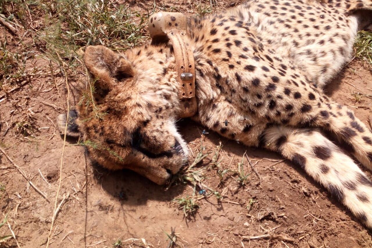 PHOTO 2019 02 03 19 46 50