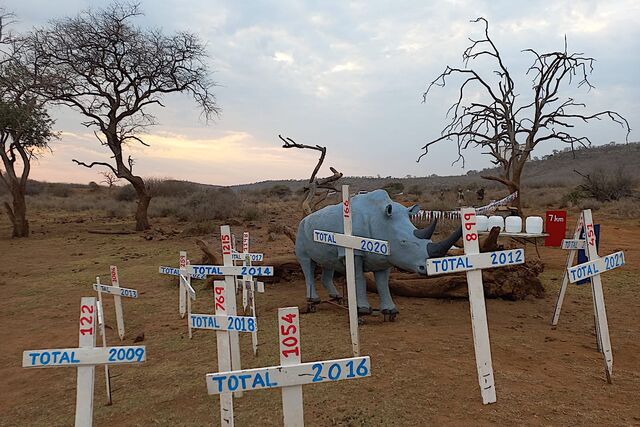 Walking for Rhinos: Traditional event for a good cause