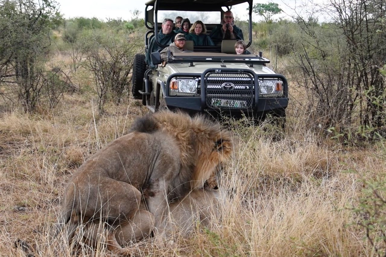 Screen Shot 2017 12 03 at 10 10 58 PM