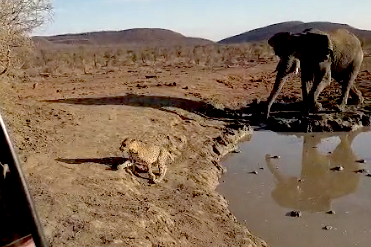 Screenshot 2019 10 02 at 07 30 56