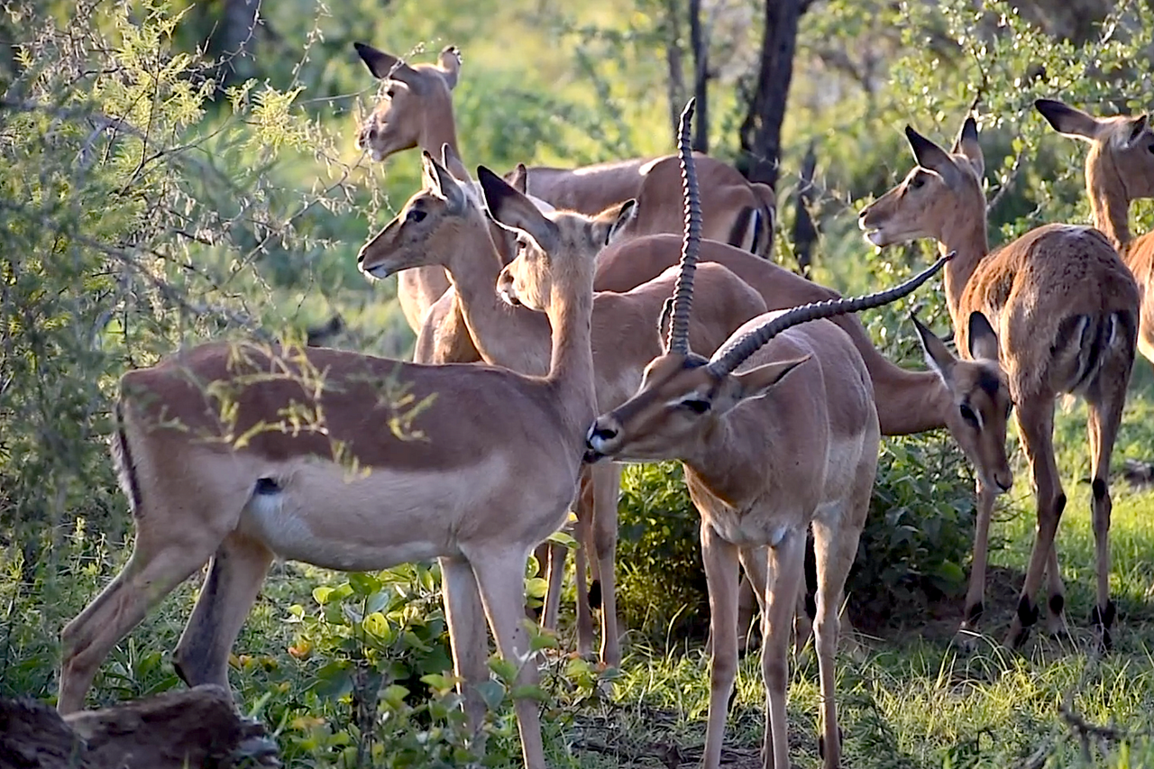 Screenshot 2019 12 16 at 16 43 20