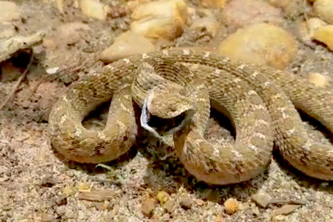 Screenshot 2020 01 03 at 08 58 27