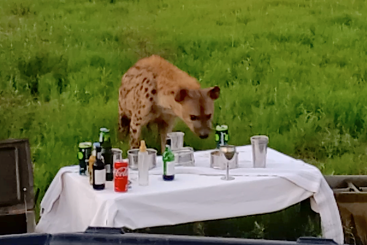 Screenshot 2022 01 08 at 21 14 08