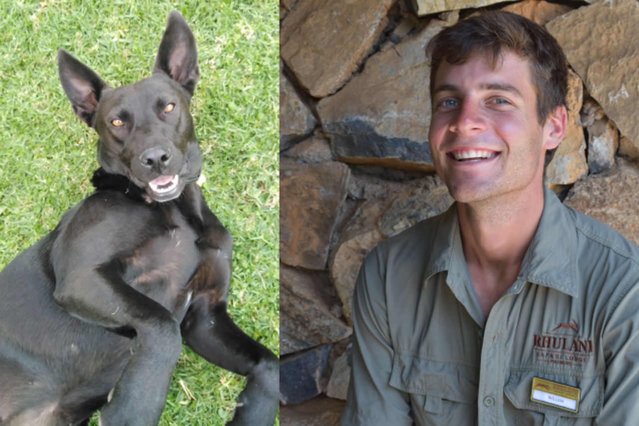 Screenshot 2022 12 30 at 16 09 28 750 423 s