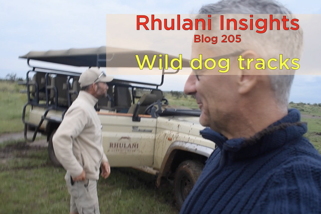 Rhulani Insights 205 – Wild dog tracks