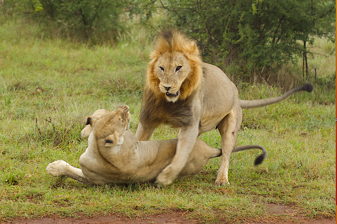 Screenshot 2023 05 15 at 13 49 45