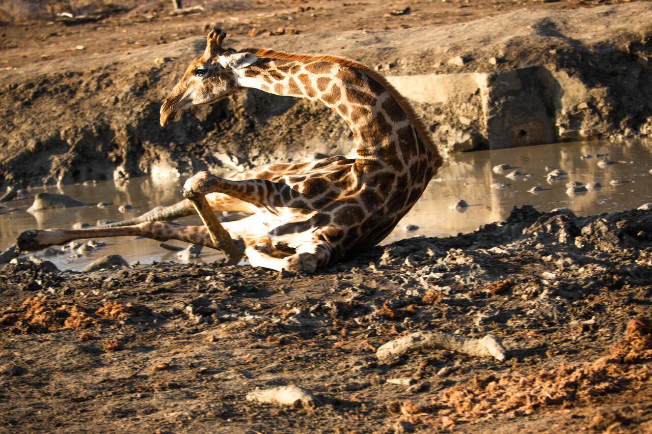 TB Photography 34170