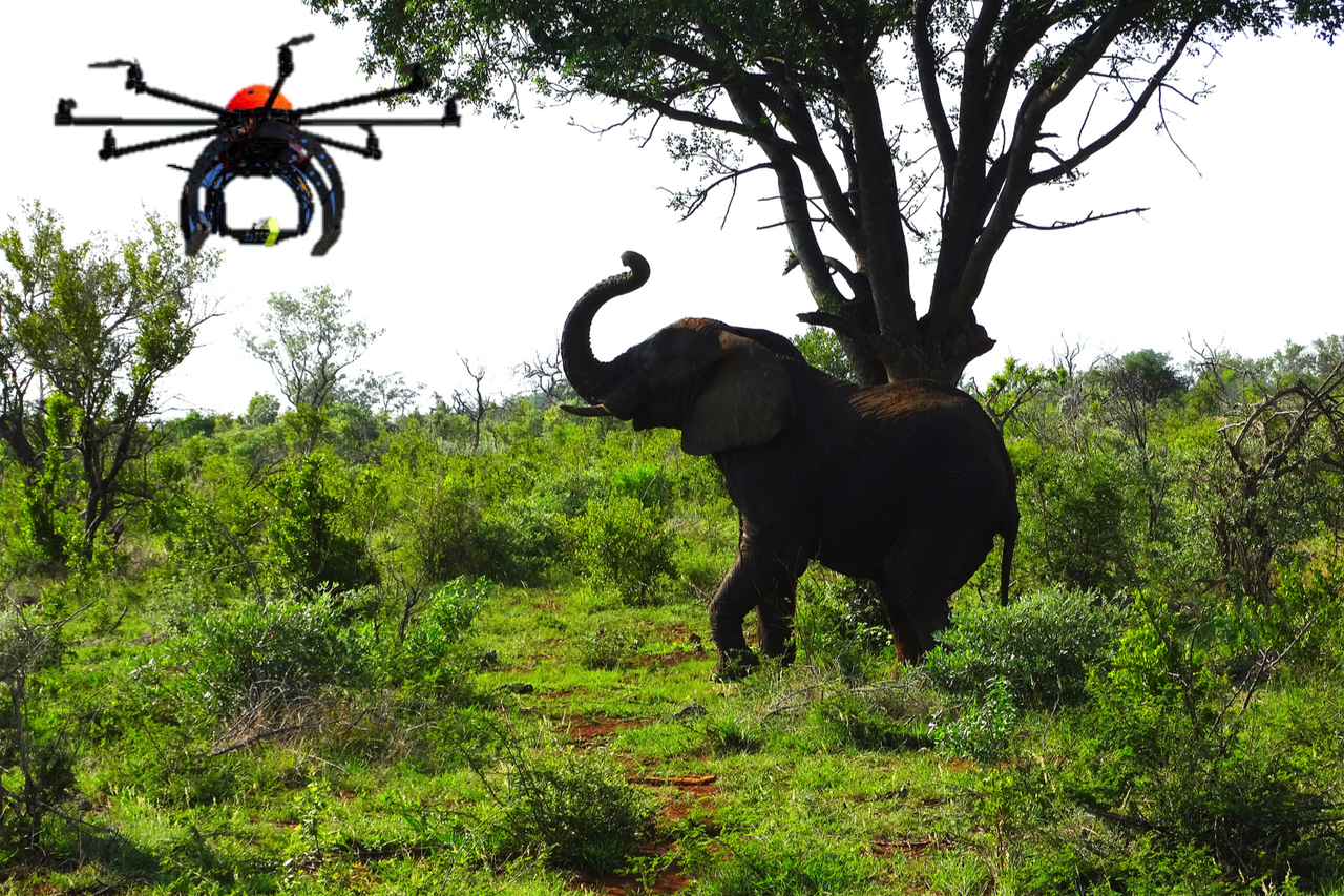 Elephant drone