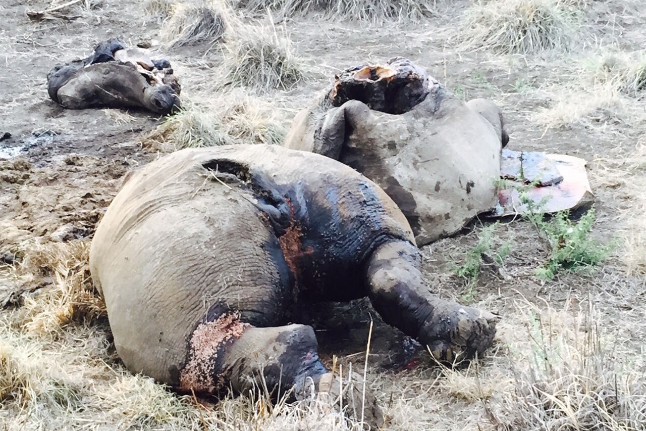 Ff0d6db1f439faeb91cb99551f5bcb92