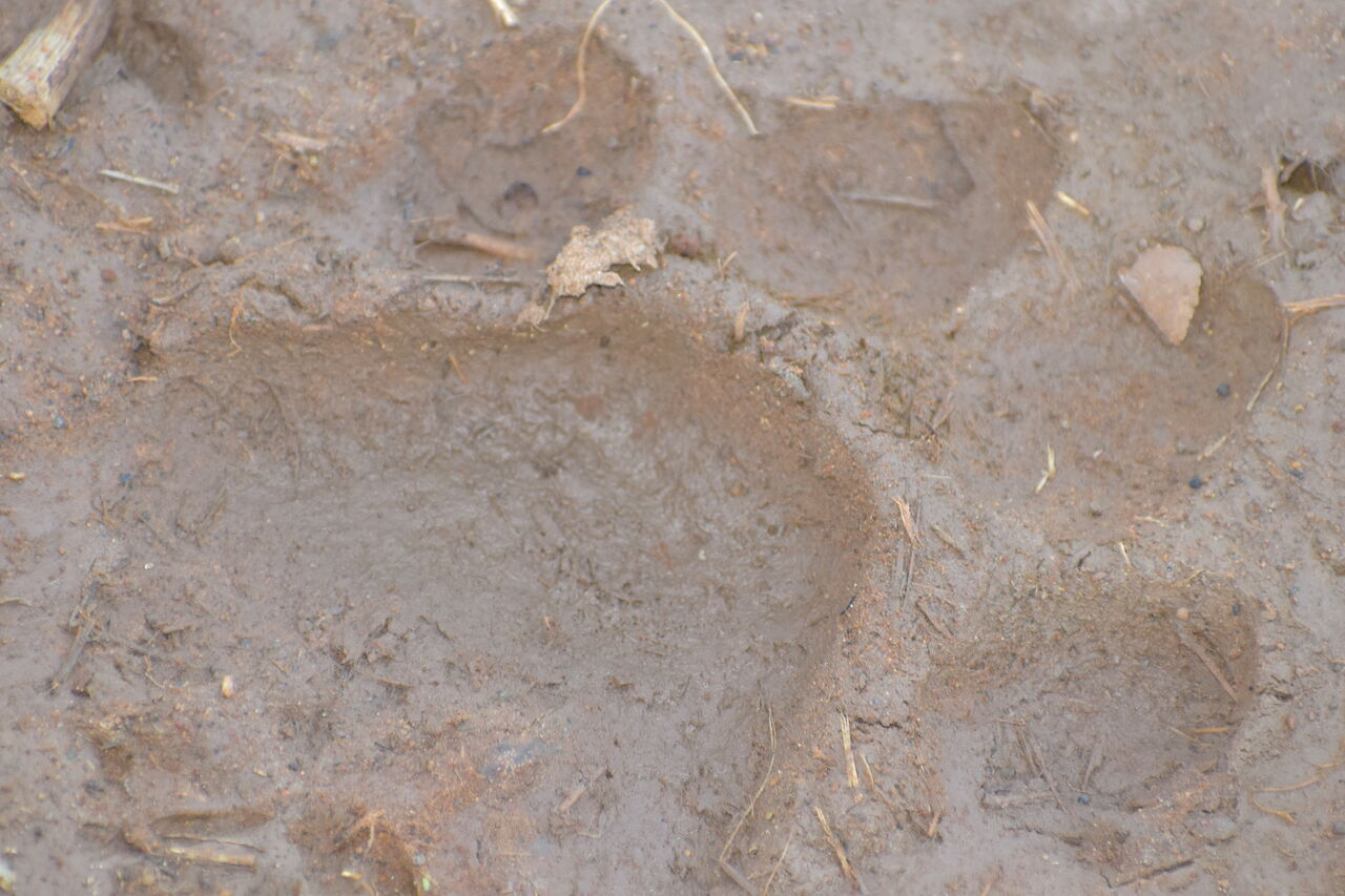 P2018 05 30 16 21 50