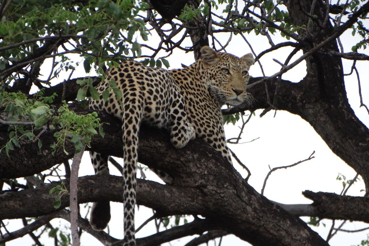 P2018 06 10 11 34 20 7