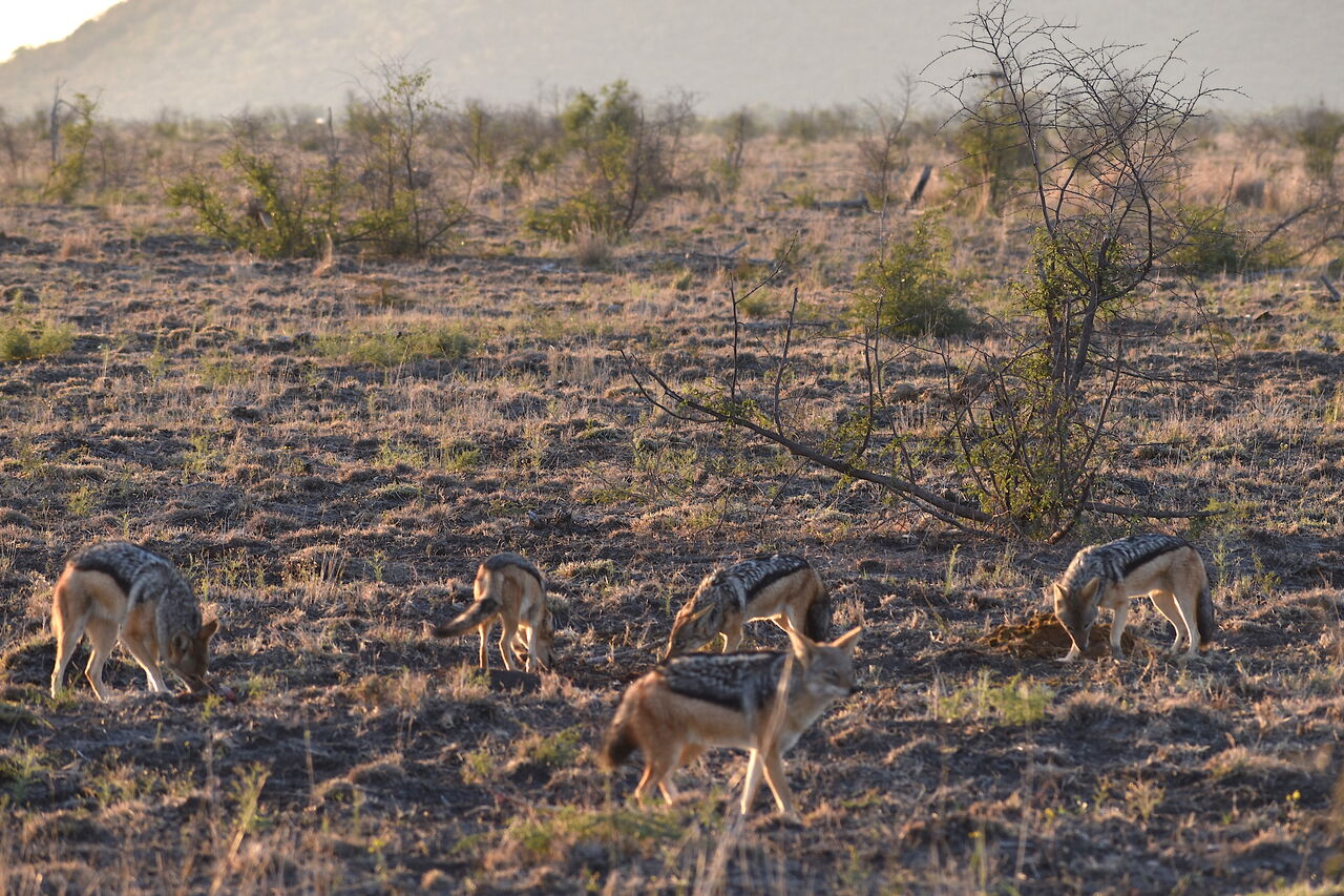 P2019 06 09 06 25 15