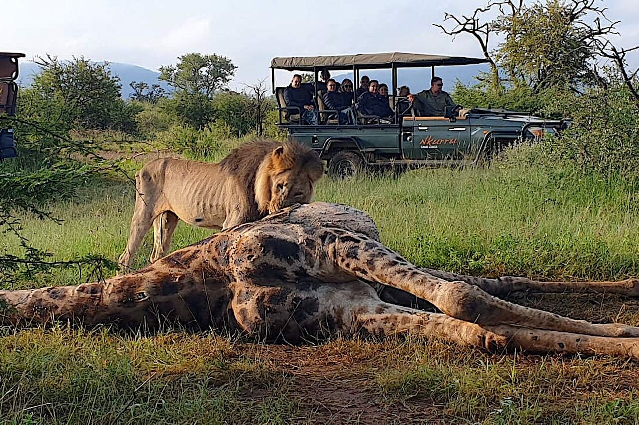 P2020 02 01 07 42 55 1