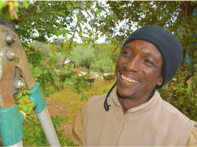 Cross Modiegi Mokgadi (Cross)