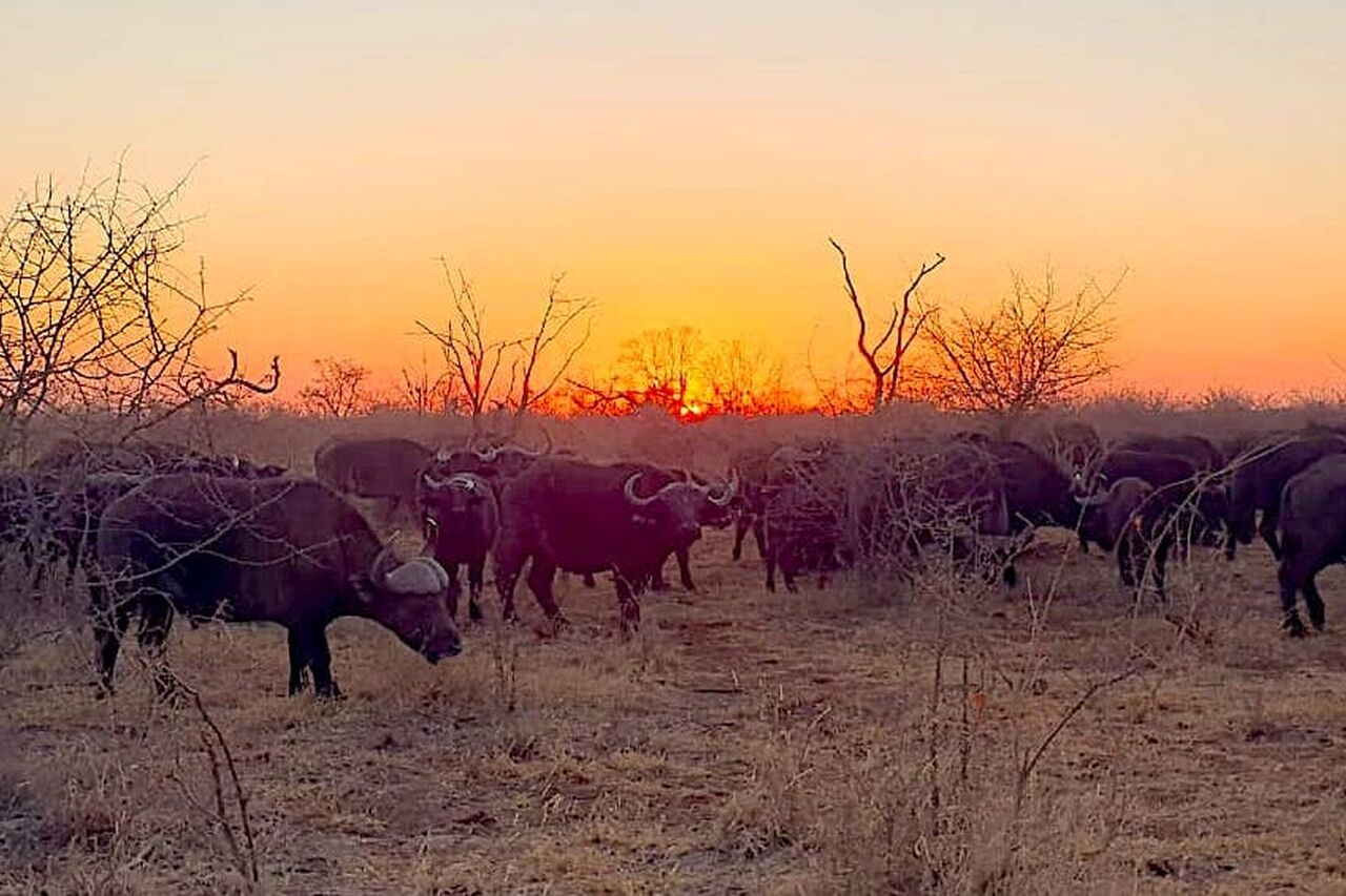 2019 09 30 20 14 36 1