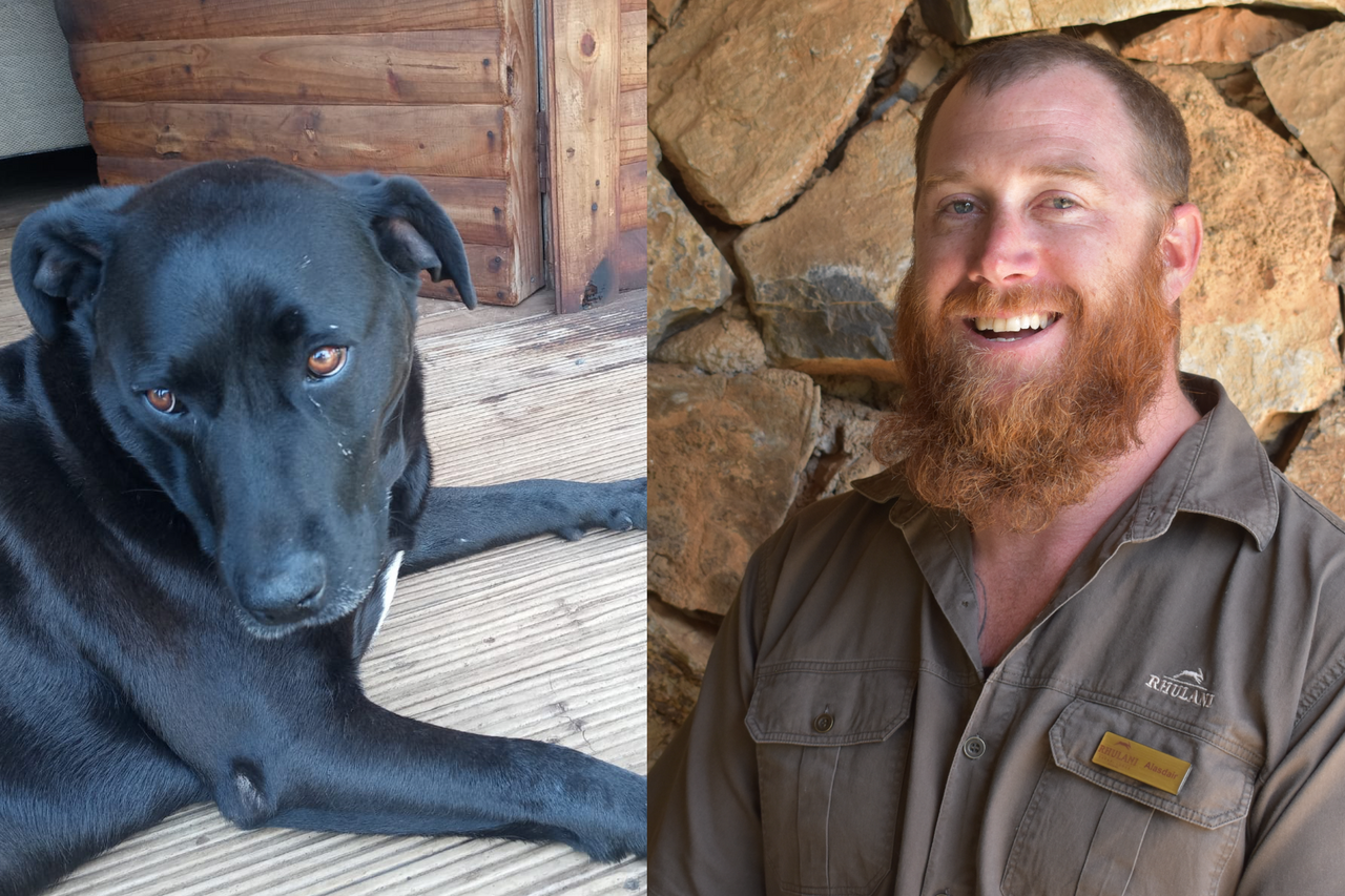 Screenshot 2022 12 30 at 16 13 24