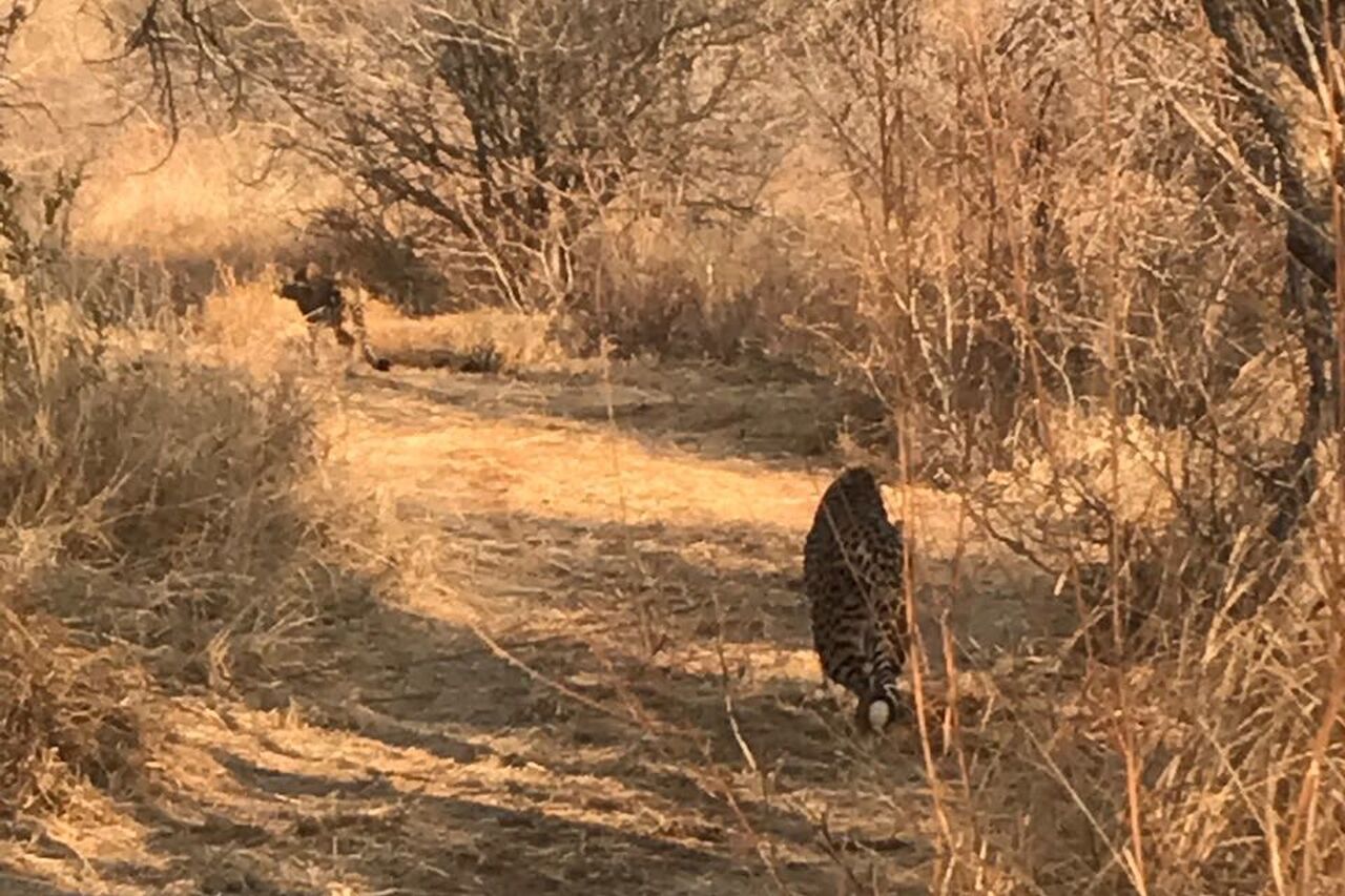 Datei 22 09 17 09 44 10