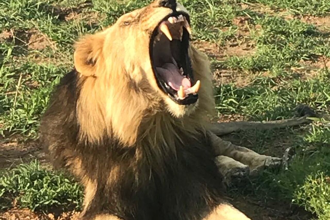 2018 02 07 PHOTO 00000070