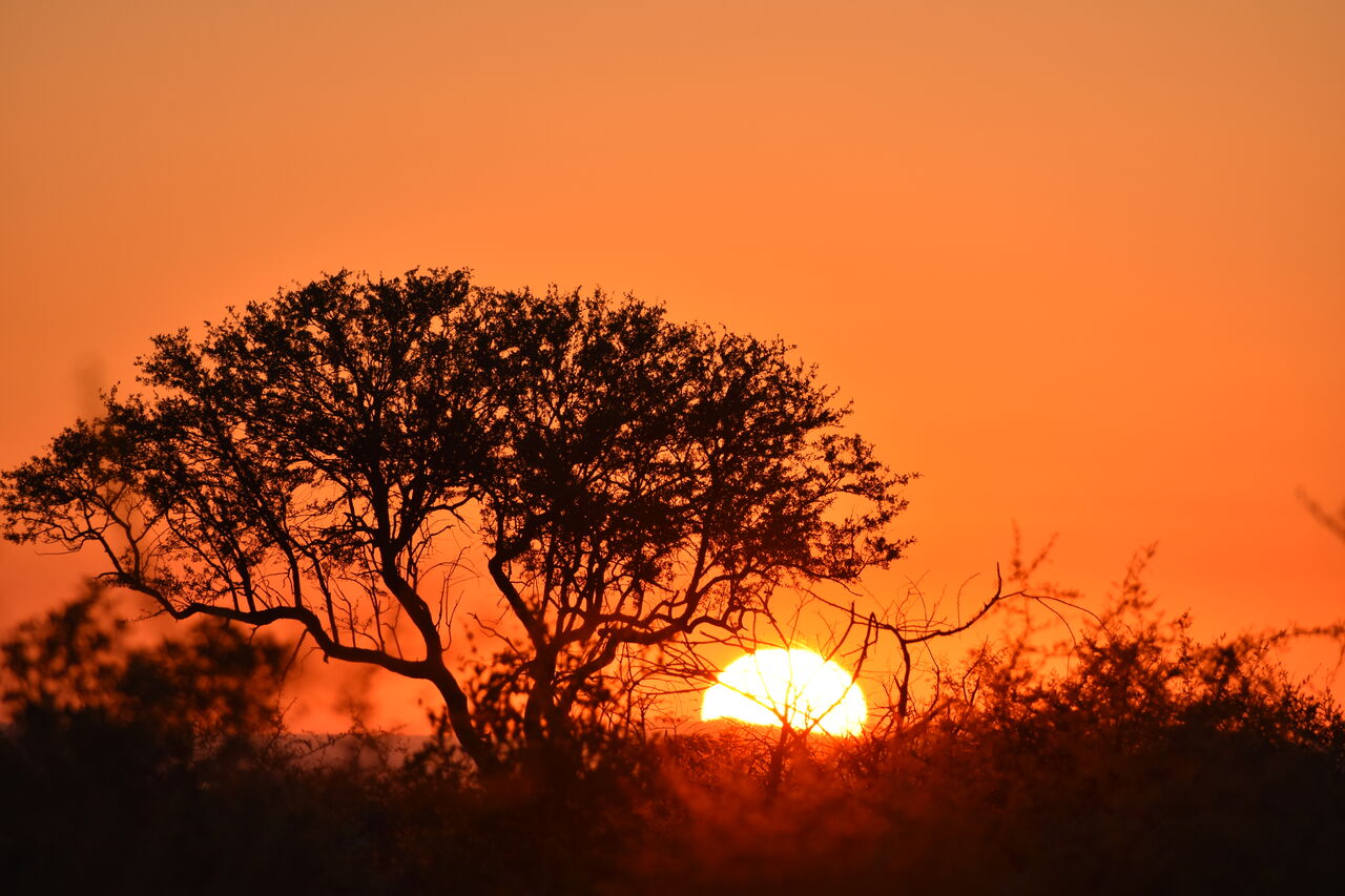 P2019 02 17 05 04 51