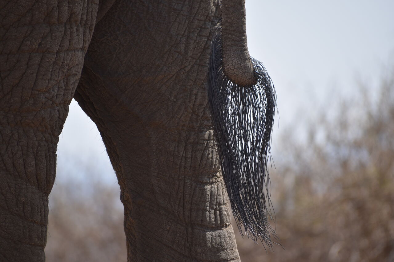 2022 09 16 10 04 58 p