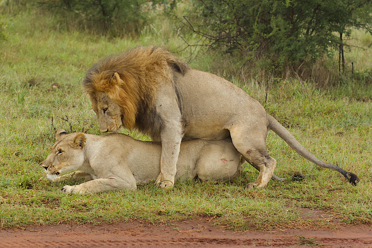 Screenshot 2023 05 15 at 13 50 08