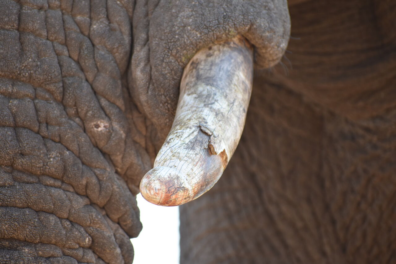 2022 09 16 10 02 59 p