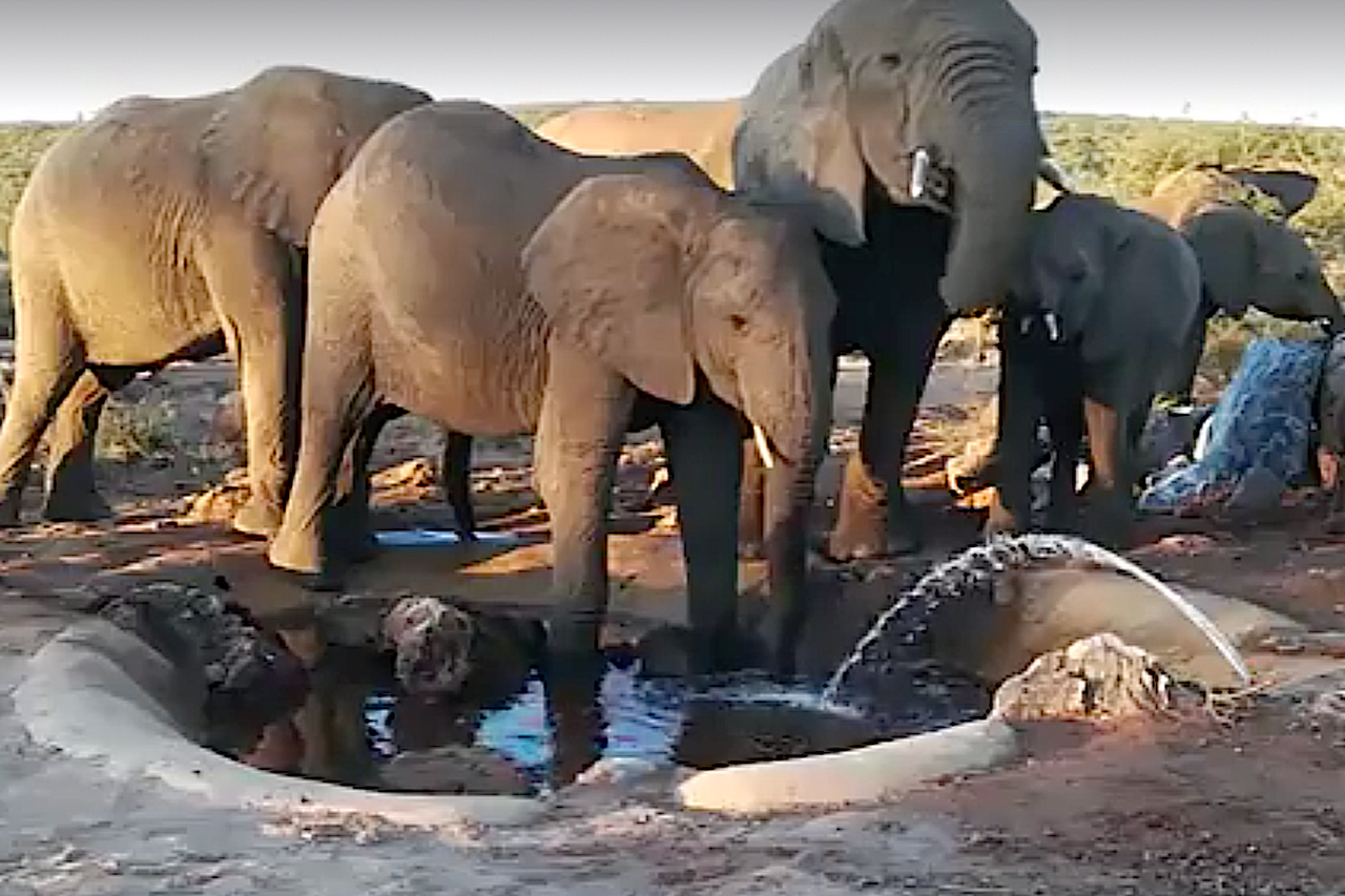 Screenshot 2020 04 07 at 13 08 48