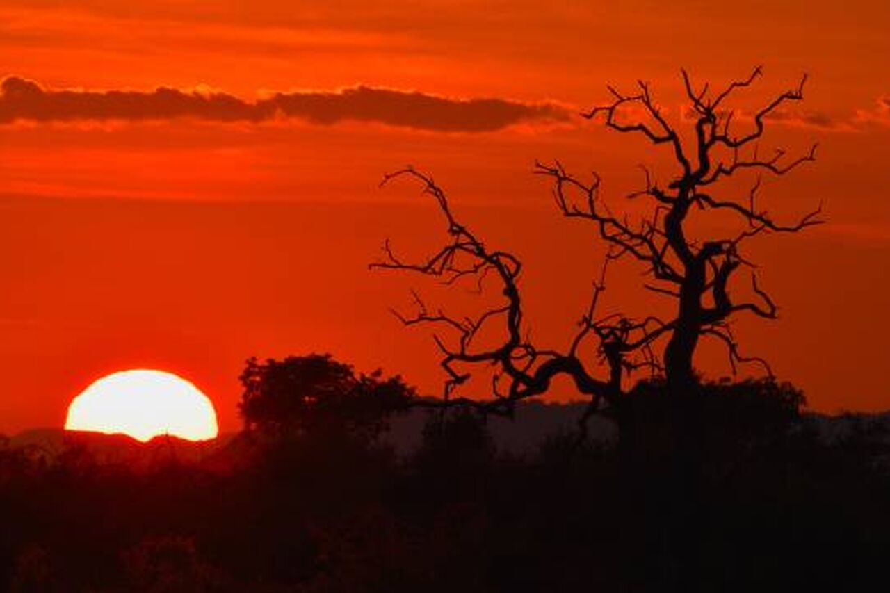 DSC 0005 750 359 70 s